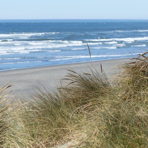 Mad River County Beach