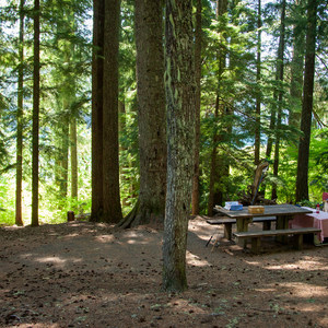 Cold Water Cove Campground