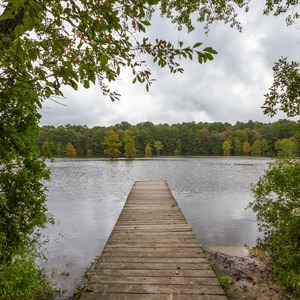 Trap Pond State Park