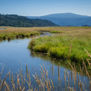 Gibbons Creek Wildlife Art Trail