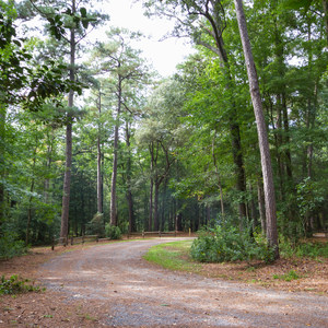 Trap Pond State Park Campground