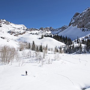 Lake Blanche Snowshoe