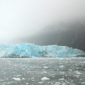 Prince William Sound + Surprise Glacier Tour
