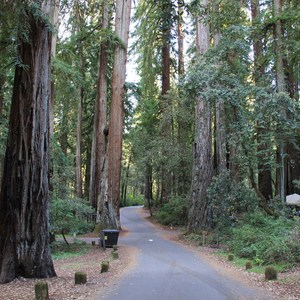 Huckleberry Campground