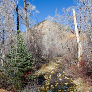 Affleck Park Campground