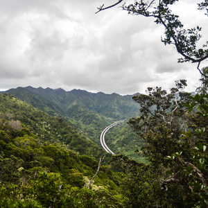 'Aiea Loop Trail