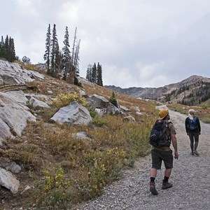 Albion Meadows Trail to Germania Pass
