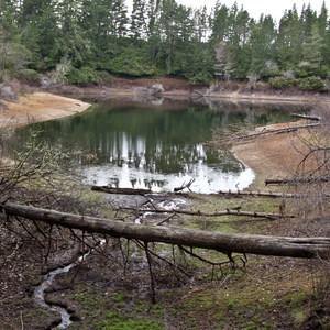 Alder Dune Campground