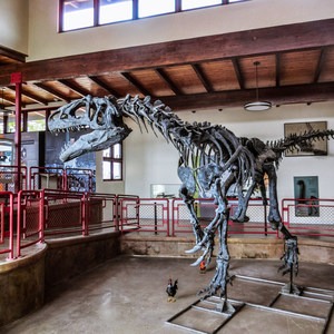 Cleveland-Lloyd Dinosaur Quarry