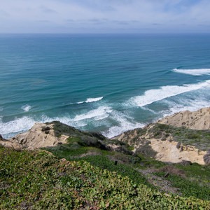 Scripps Coastal Reserve