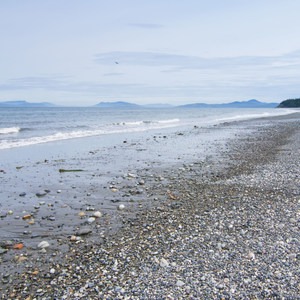Joseph Whidbey State Park Beach
