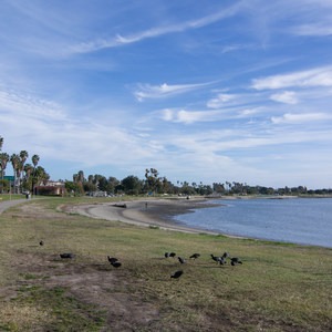 Mission Bay Bicycle Loop through Crown Point