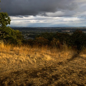 Bald Hill Natural Area