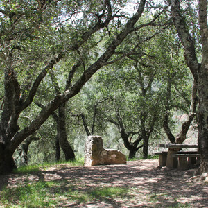 Live Oak Campground