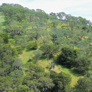 Mount Diablo State Park