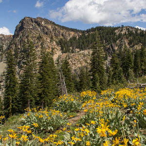 Sierra Buttes Trail