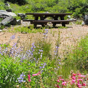 Lakes Basin Campground