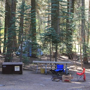 Crane Flat Campground