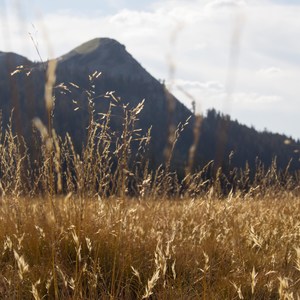 Tuolumne Meadows Campground