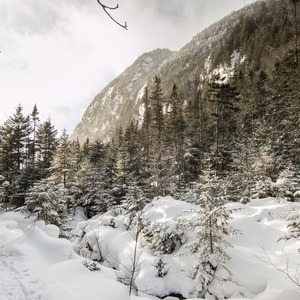 5 Must-Do Adirondack Snowshoe and Ski Trails
