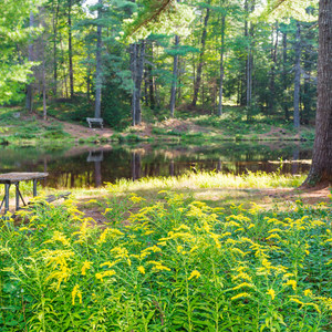 Bear Brook State Park