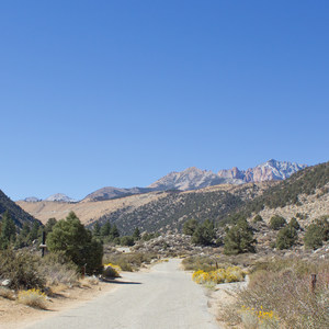 Bitterbrush Campground