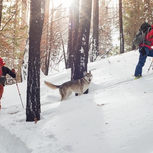 Leave No Trace Tips for Winter Adventure