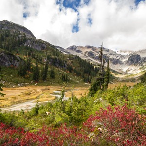 Brandywine Meadows Hike