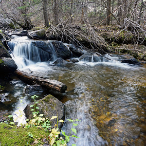 Rich Creek + Rough and Tumbling Creek Hiking Loop