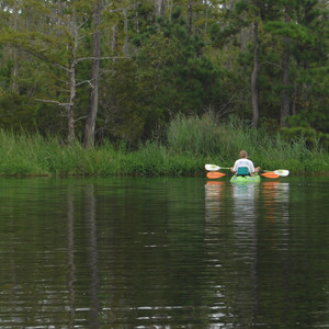 Buffalo City Paddling Trails
