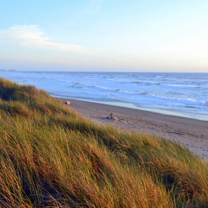 Bullards Beach State Park