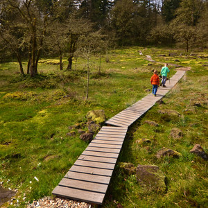 Camassia Natural Area