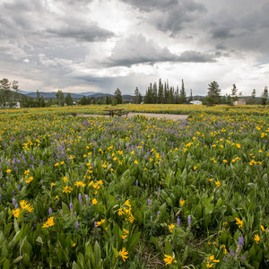 Sunrise Vista Campground