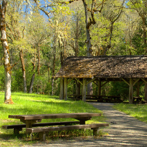 Packard Creek Campground