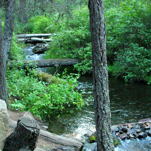 Candle Creek Campground