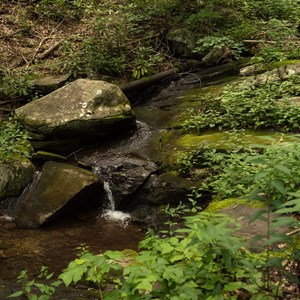 Woodward Falls via Walk Jones Wildlife Sanctuary