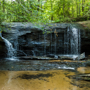 Wildcat Branch Falls