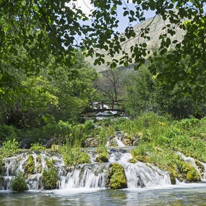 Cascade Springs