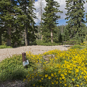 Point Supreme Campground