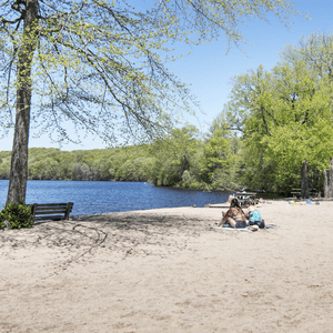 Cedar Lake Beach