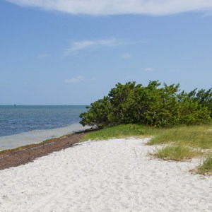 Curry Hammock State Park