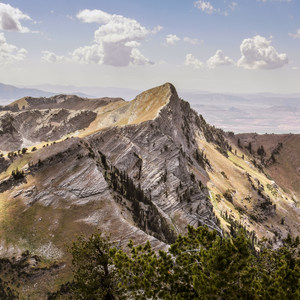 White Pine Grand Slam