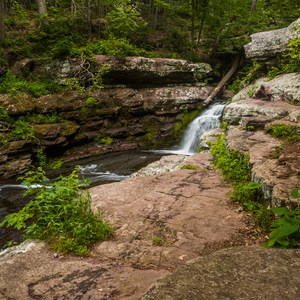 Van Campens Glen Hike