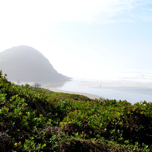 Ocean Beach Picnic Area