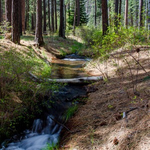 Cold Springs Campground