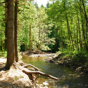 Elk Creek Campground