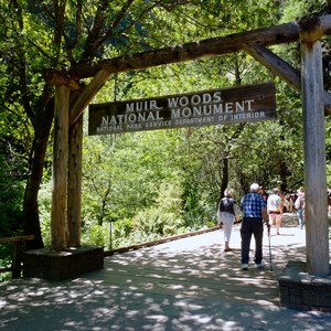 Muir Beach to Stinson Beach via Muir Woods National Monument