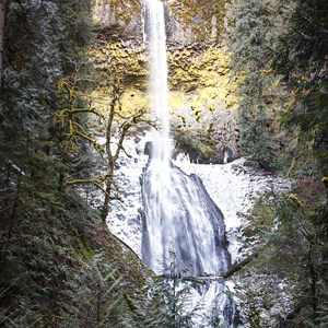 Clackamas River Trail