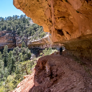 Cliff Springs Trail