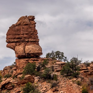Mica Mine Trail Hike